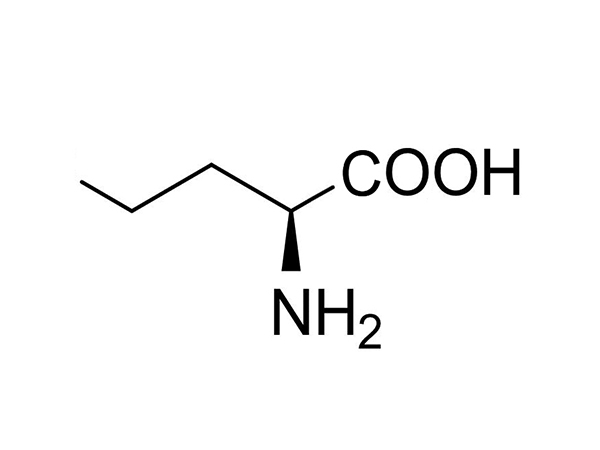 L-正纈氨酸 L-正纈氨酸