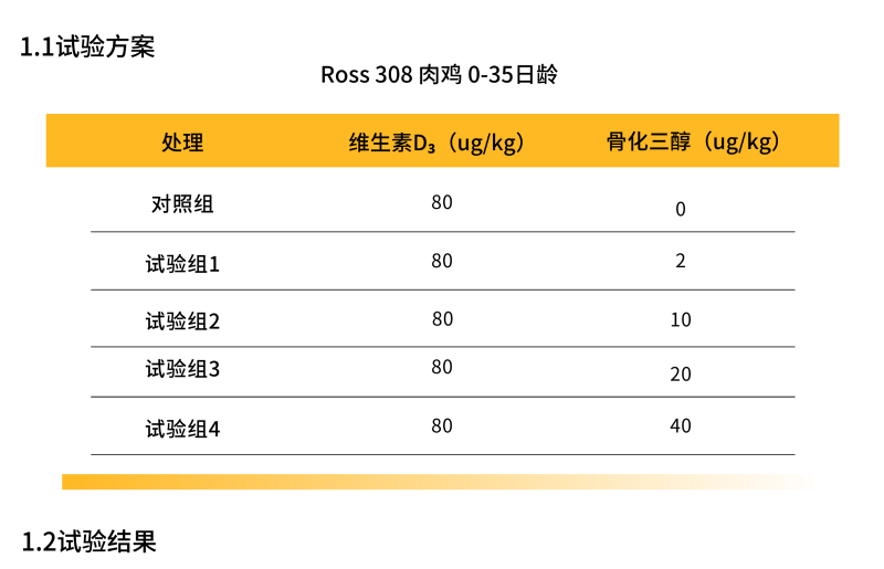 黃白色對比圖簡潔分享中文圖表 (8)
